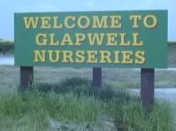 Welcome to Glapwell Nurseries(c) Mr G. Flemming  14/05/2000