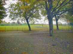 View  of Shirebrook Town Park (c) G. Flemming